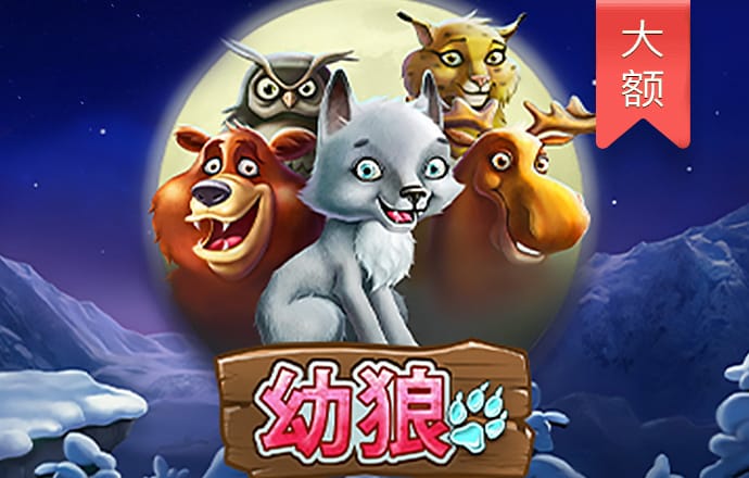 新澳门内部一码精准公开网站